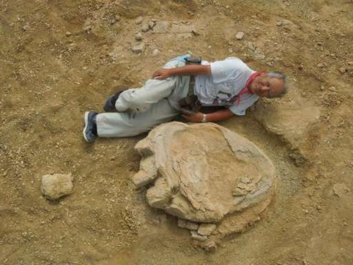 New Discovery: Giant dinosaur footprints found in Mongolia desert